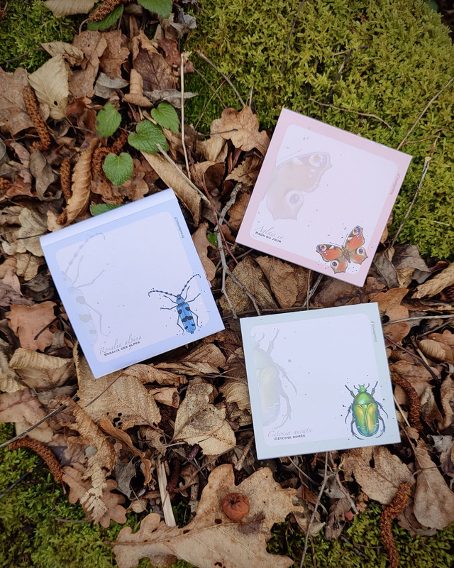 Bloc-notes carré - INSECTES 