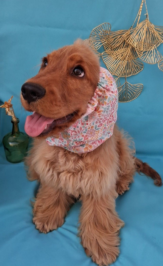 Snood Taille M Fleurs Roses Turquoises et Moutardes