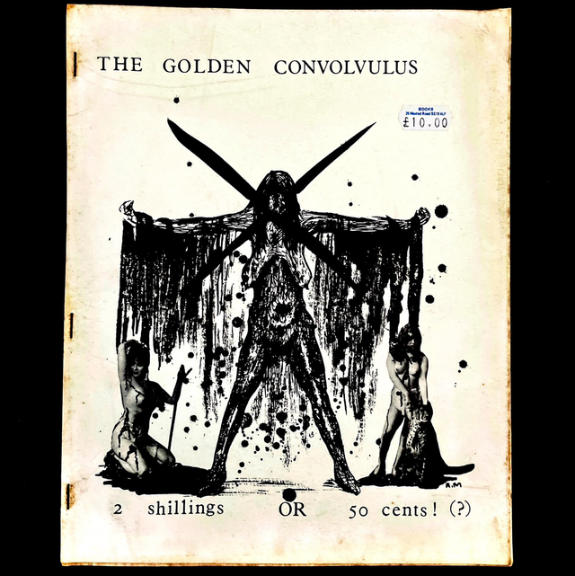 The Golden Convolvulus