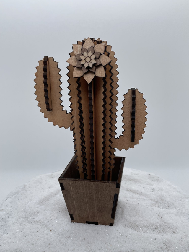 Cactus trois branches et son pot