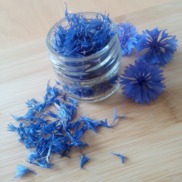 Pétales bleus