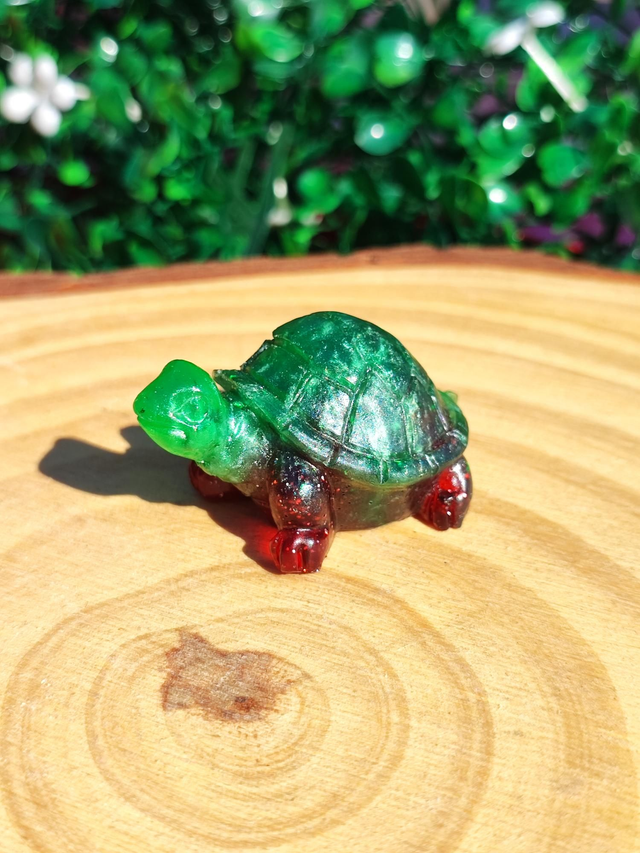 Tortue terrestre  