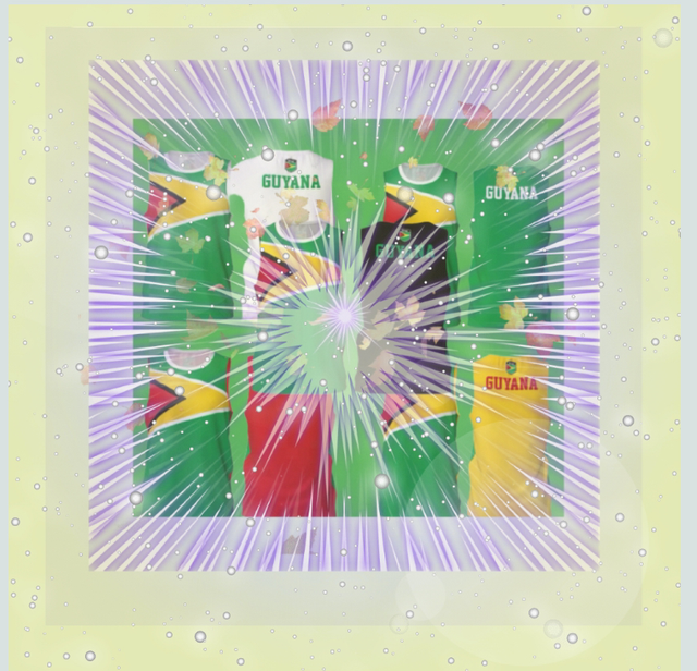 🇬🇾GEO BLACK VEST TOPS