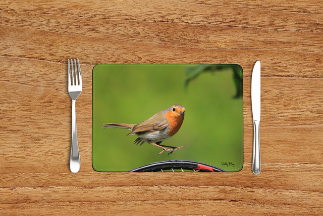 “Wimbledon Robin” Placemat   