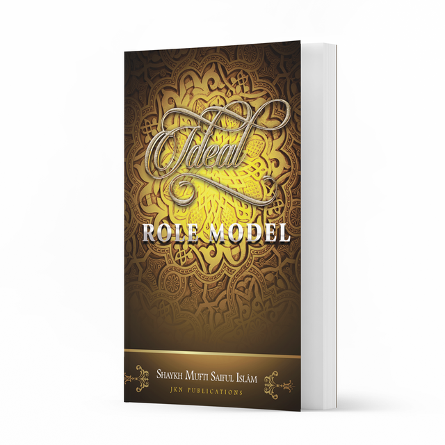 Ideal Role Model – Paperback