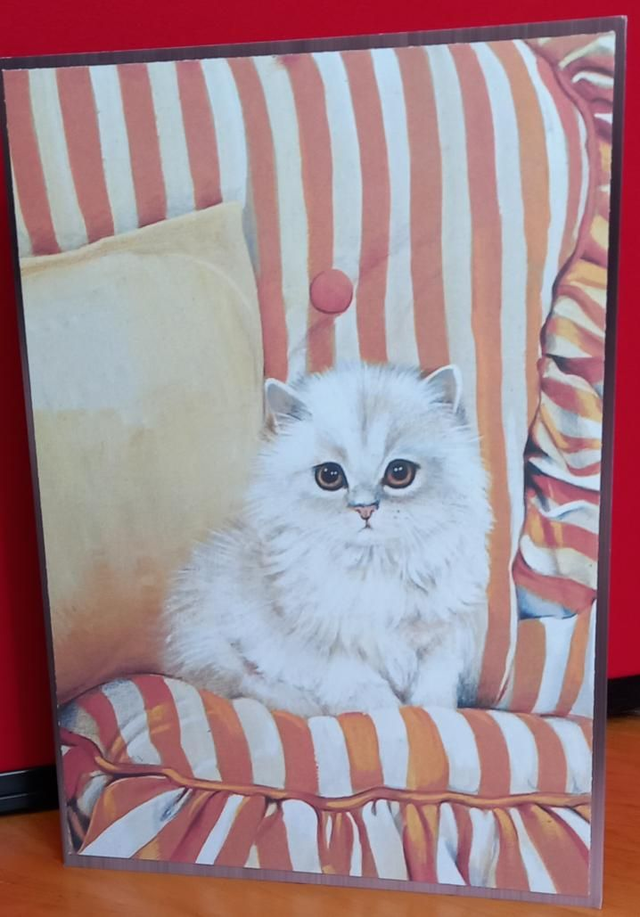 White cat card