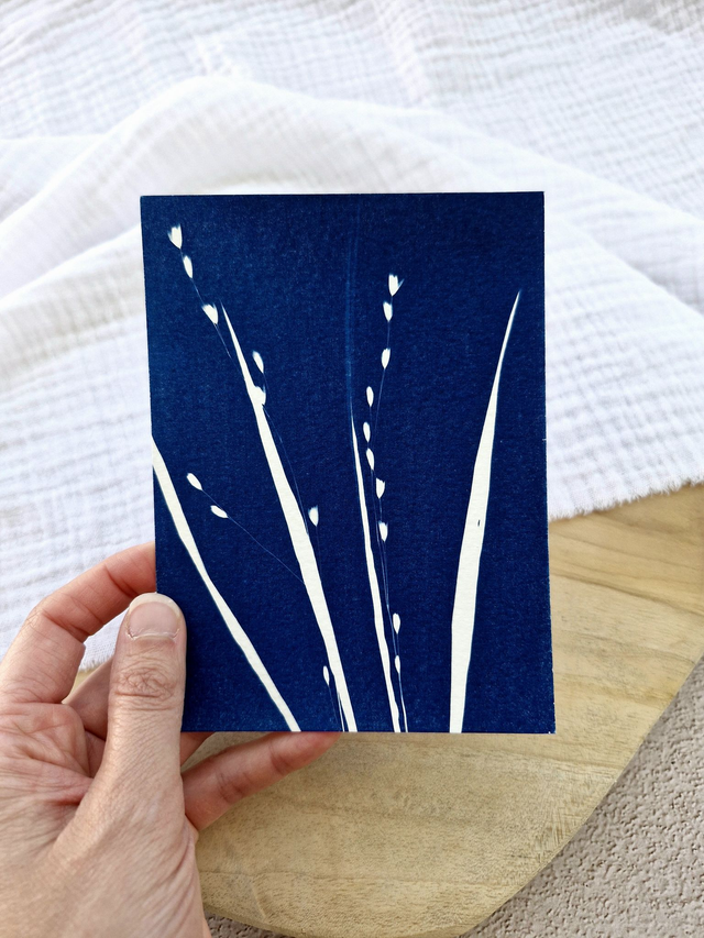 Mini CyanÔ - Carte - Graminée