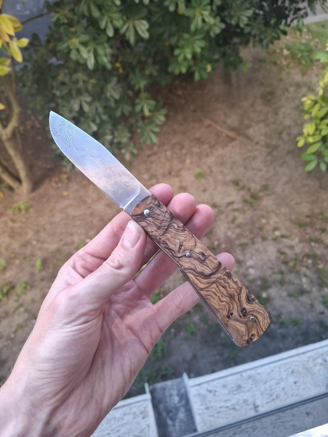 Taurus - Loupe d’Olivier