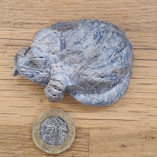 Sleeping mid grey cat