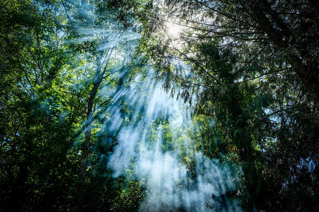 A8 - L'exacte exactitude