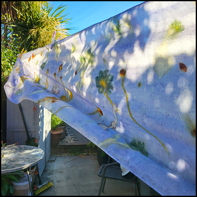 100% Silk Scarf - eco-printed with coreopsis, bidens, african daisy and pelargonium wrapped in a logwood and iron blanket