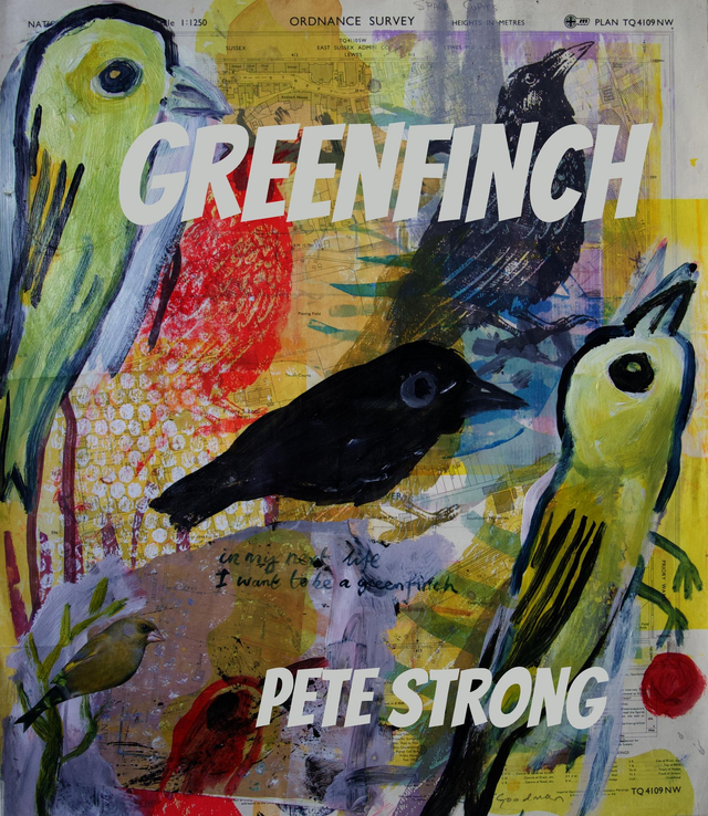 Greenfinch - Pete Strong