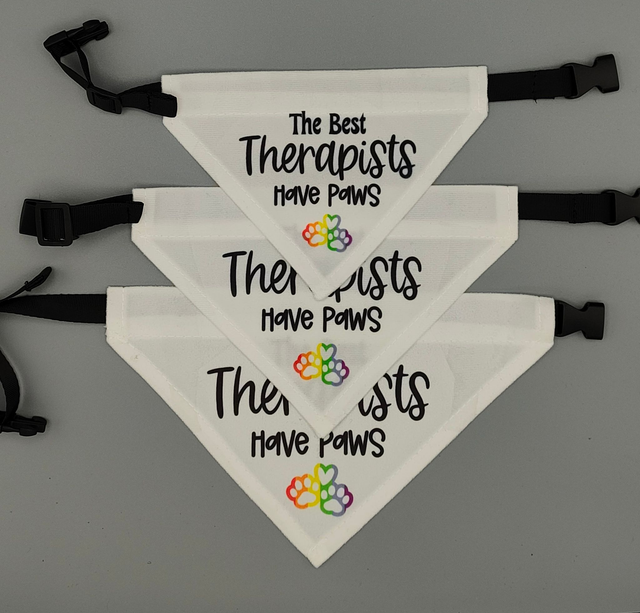 Pet Bandana