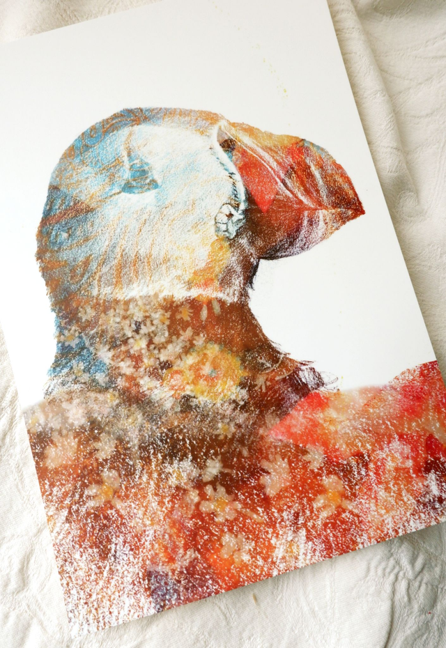 Impression A5-Illustration Macareux moine 