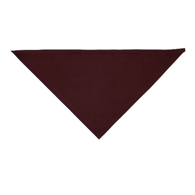 Dick van Toor scoutingdas bruin