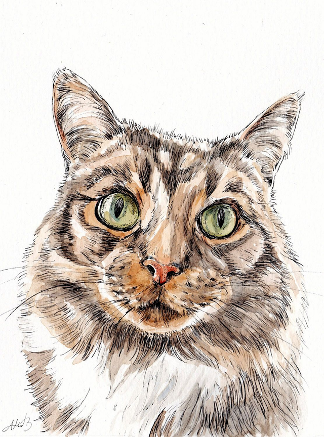 Custom Pet Portrait - Pen &amp; Ink with Watercolour
