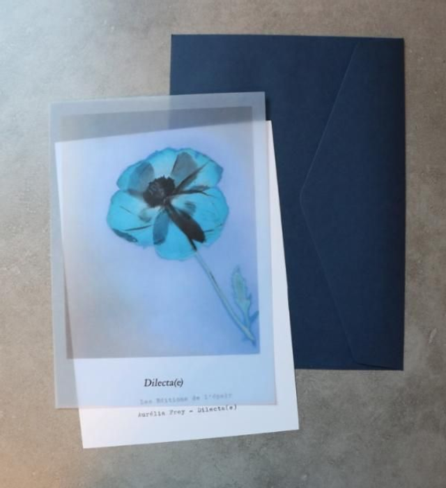 Miniatures de collection - Dilecta(e)