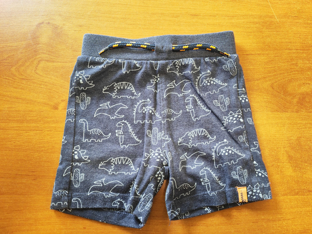 Short dino en 9 mois