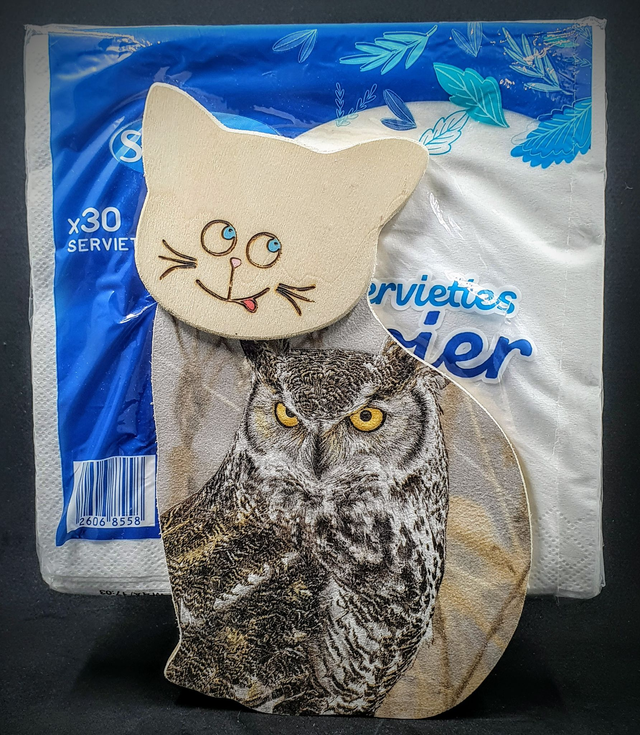 distributeur de serviettes 