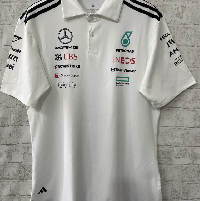 Fórmula 1 polo Mercedes blanco