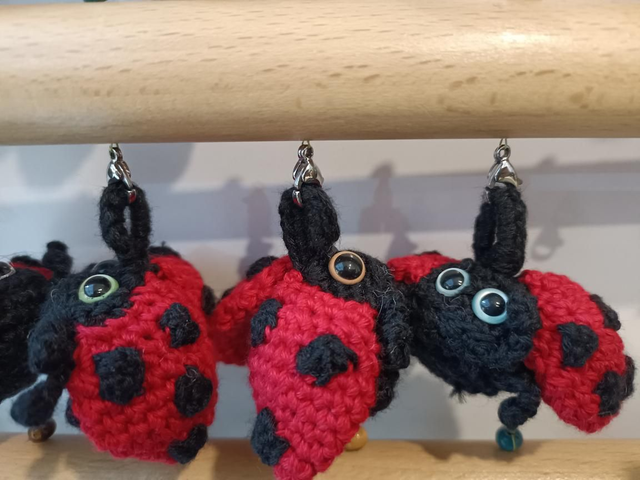 Xoaniña. Amonamantangorria