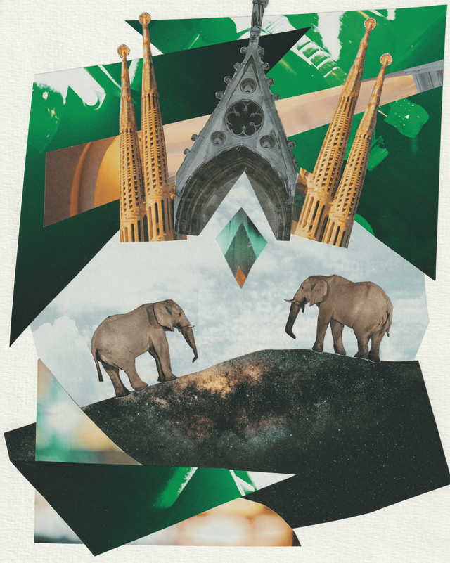 Elephant encounter