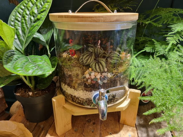 Terrarium with deadpool and Wolverine 