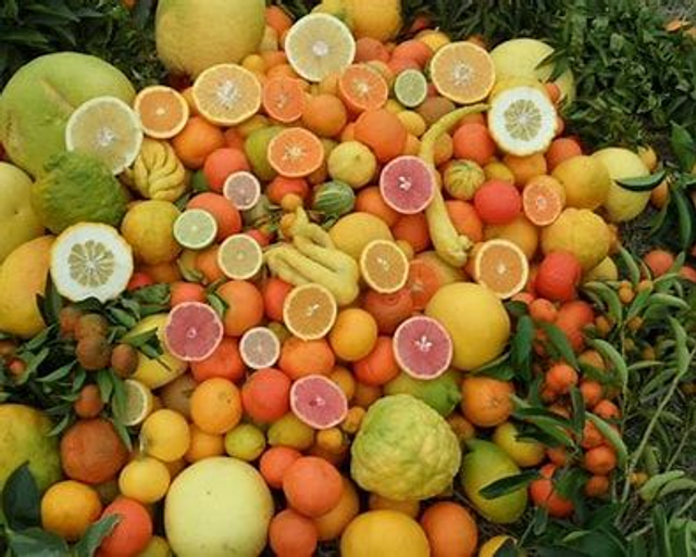 Galets de cire végétale parfumé