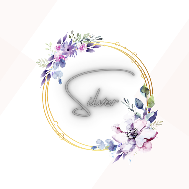 Prestation Mariage Silver