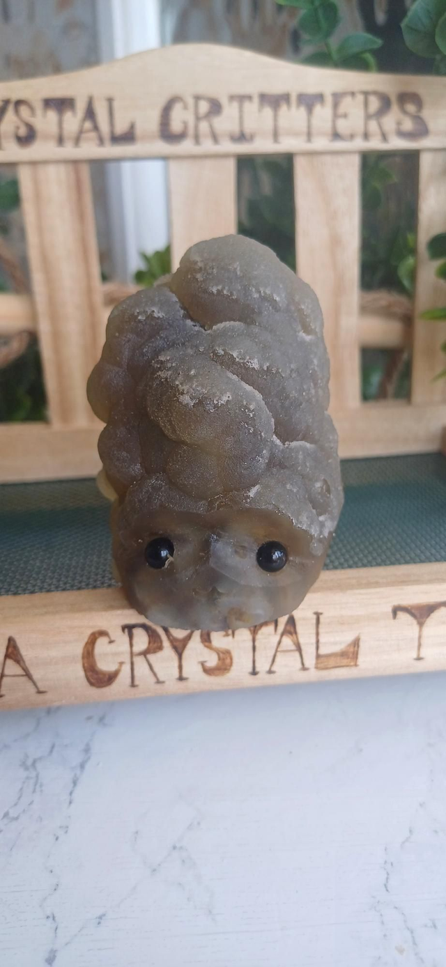 Oranda  - Crystal Critter