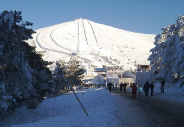 2026.01.17 Salida a Navacerrada (Tropa y Escultas)