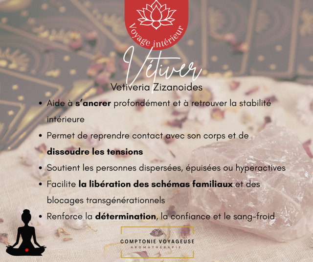 Voyage intérieur - Vétiver