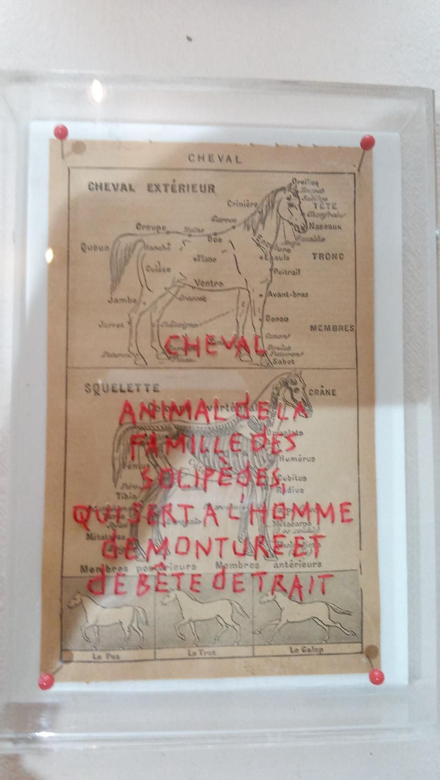 Dictionnaire Eugenie Collet