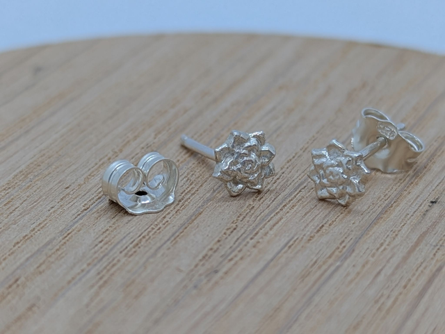 XSmall Succulent Plant Earrings