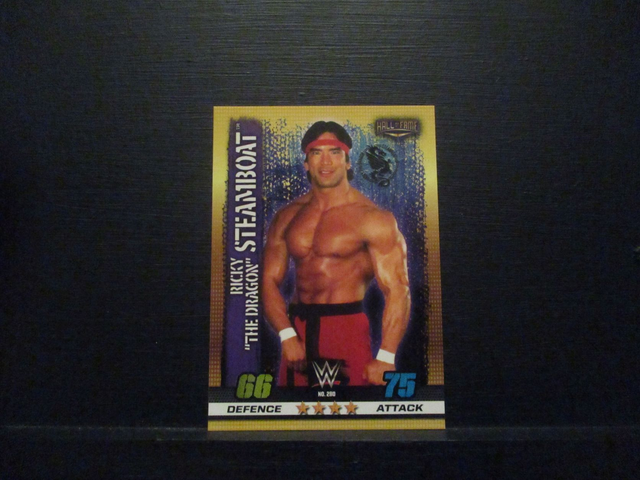 Ricky "The Dragon" Steamboat - Hall Of Fame Slam Attax 10th Edition Original Trading Card #280