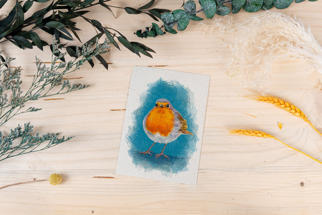 Graspapierkarte - freches Rotkehlchen