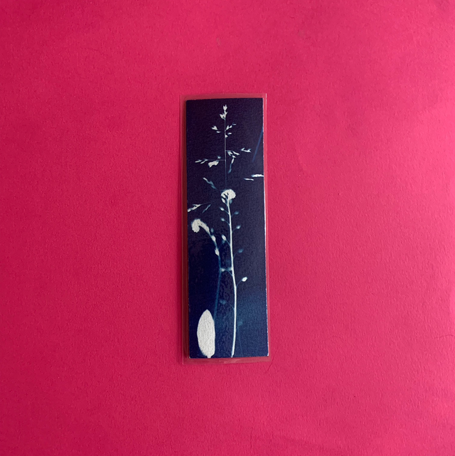 Marque page cyanotype végétal original sur papier épais et plastifié