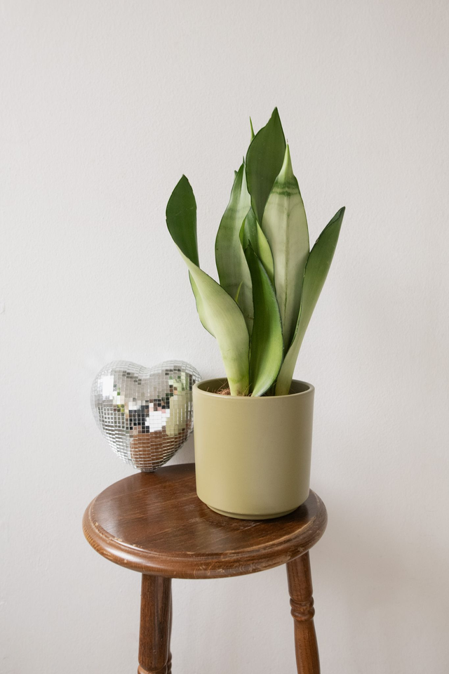 Pot vert sauge 🧩 Mix & Match