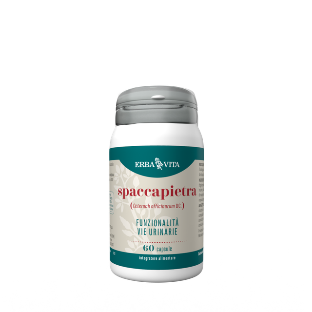 SPACCAPIETRA 60 CAPSULE