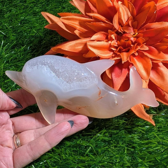 Druzy Agate Dolphin 