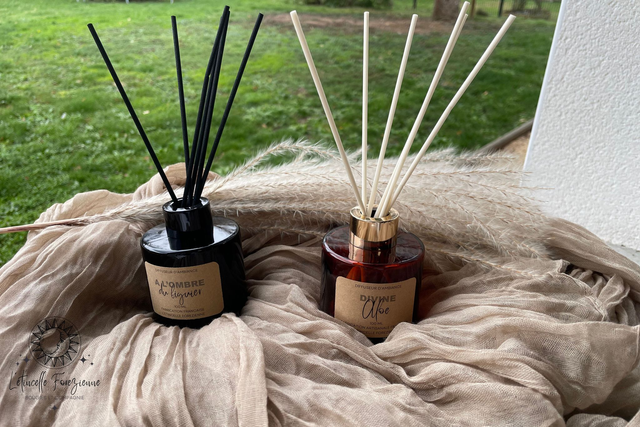 Diffuseur d'ambiance 100 ml