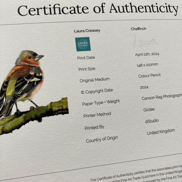 Chaffinch Fine Art Print