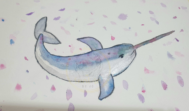 Narwhal