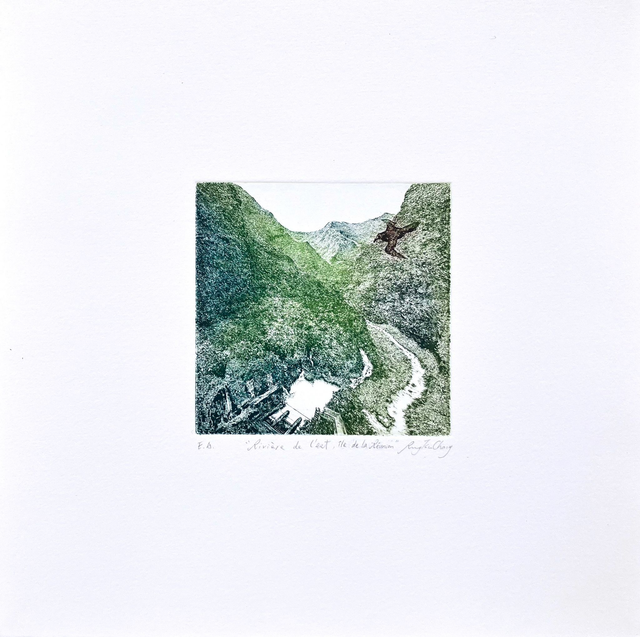 Rivière de l'Est , Île de La Réunion 