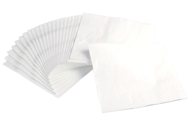 Premium 30cm White Paper Napkins | 2-Ply | BTC054