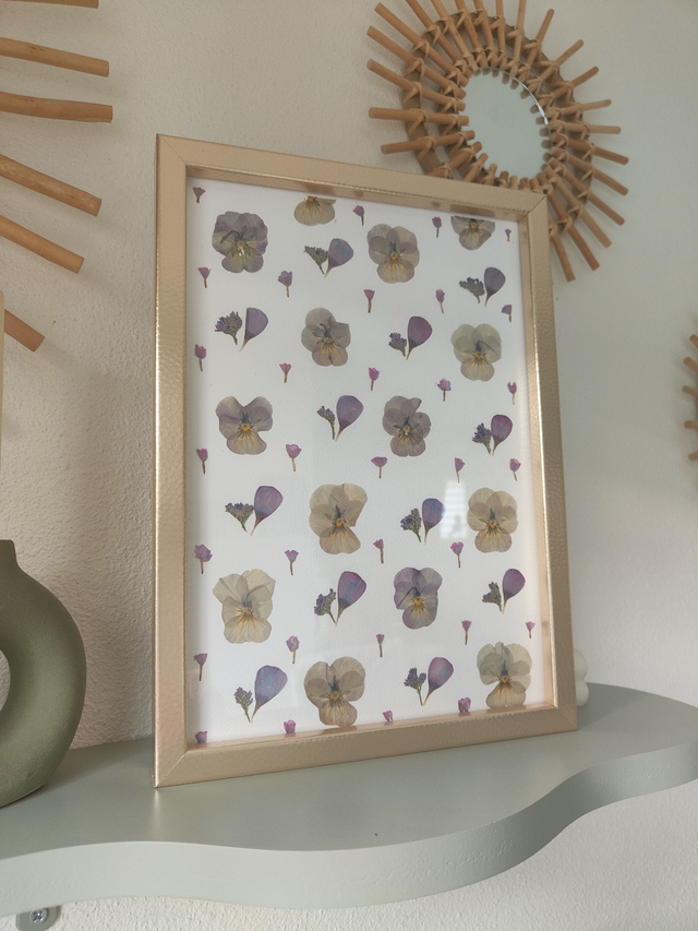 Herbier A4 fleurs pressées