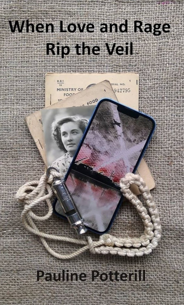 When love and rage rip the veil - Pauline Potterill