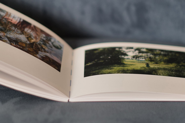 Edition simple / Classic edition