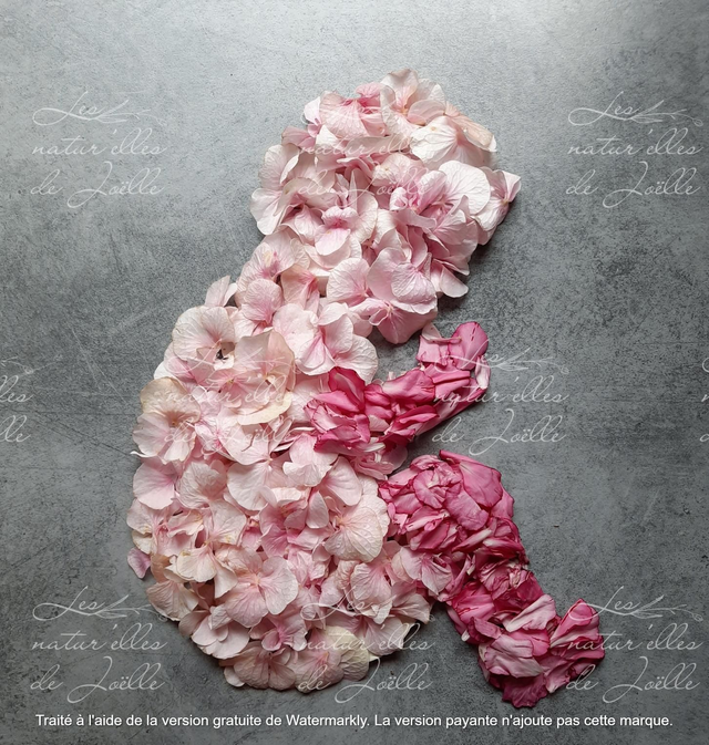 Bébé rose 20x20cm Papier classique 180g/m2 