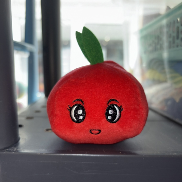 SECONDS Apple Toy